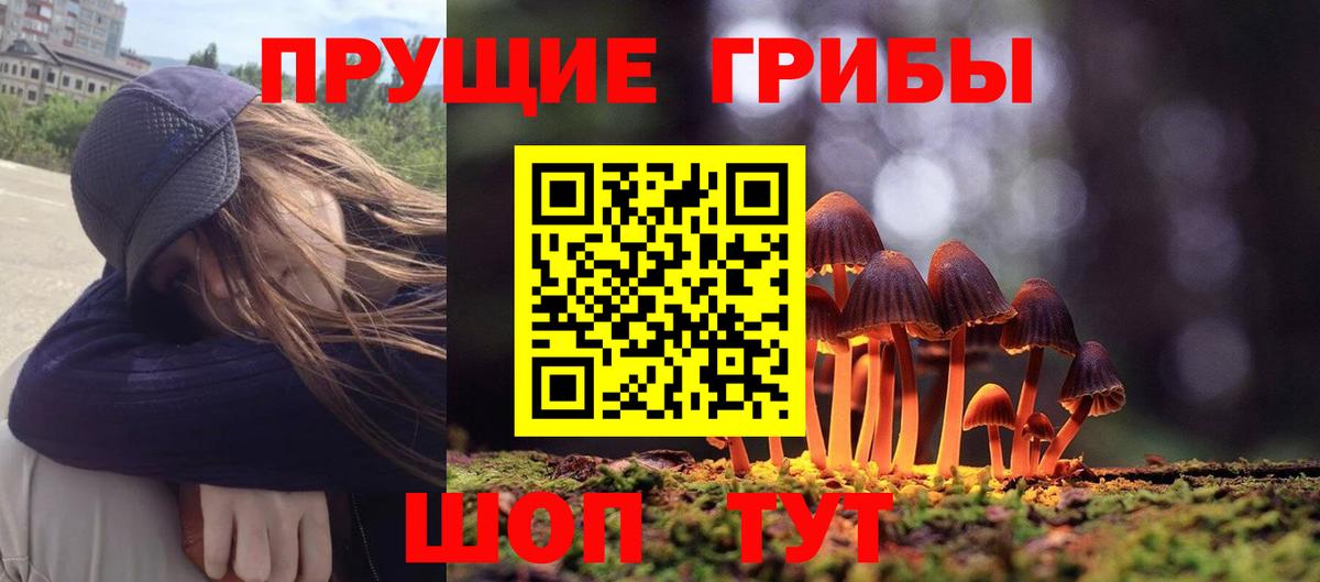 Псилоцибиновые грибы мицелий  цены   Карталы  Вход с VPN 